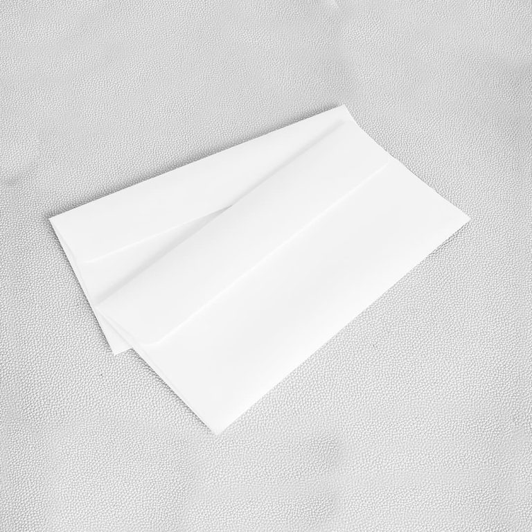 custom-printed-business-envelopes-speedy-print